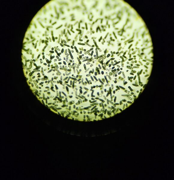 1001280443 (1)