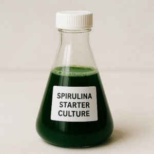 Spirulina Motherculture