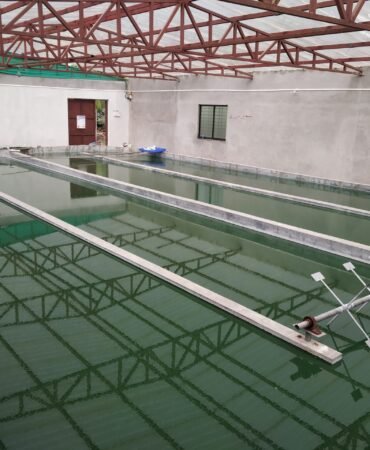 IMG_20210502_170051 (1)