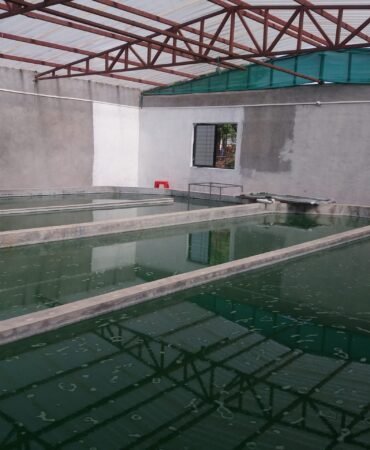 SAVE_20210424_163242 (1)