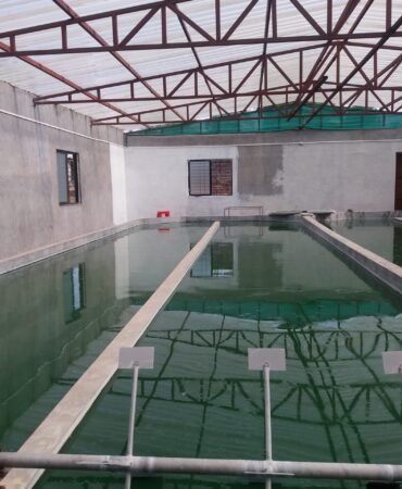 SAVE_20210424_163248 (1)