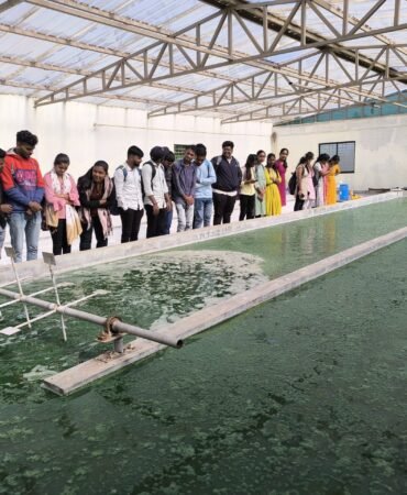 WhatsApp Image 2025-06-17 at 7.25.24 PM