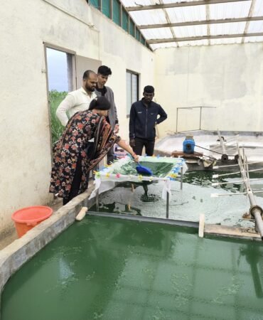 WhatsApp Image 2025-06-17 at 7.25.25 PM (1)